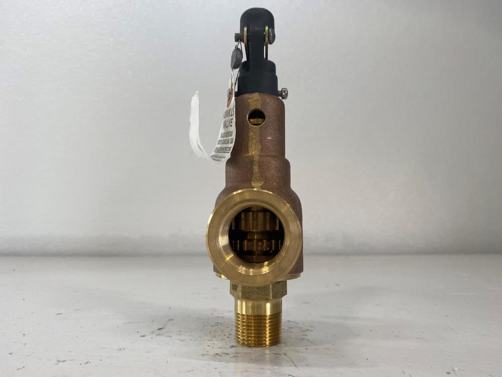 Kunkle 3/4" x 1" NPT 100# Bronze Relief Valve 6010EDE01-AM